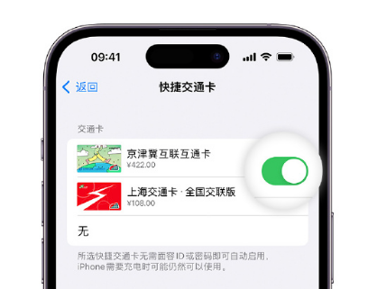 马边apple维修点分享iPhone上更换Apple Pay快捷交通卡手绘卡面 