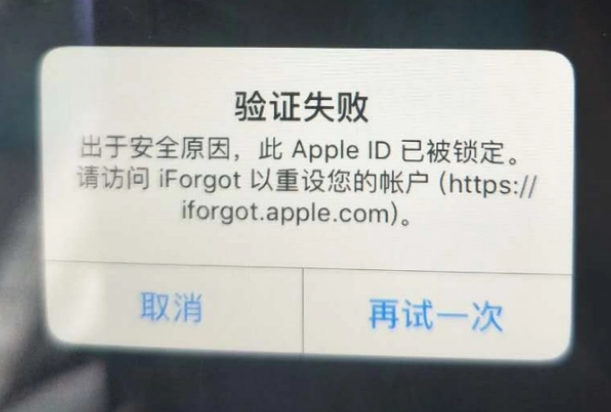 马边iPhone维修分享iPhone上正常登录或使用AppleID怎么办 