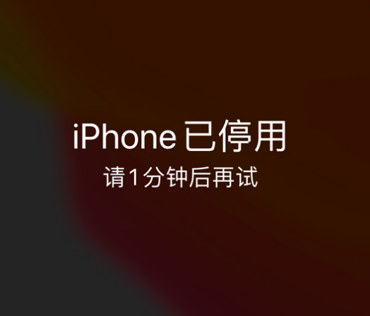 马边苹果手机维修分享:iPhone 显示“不可用”或“已停用”怎么办？还能保留数据吗？ 