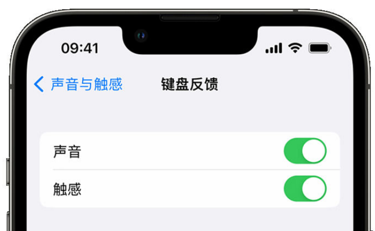 马边苹果手机维修分享iPhone 14触感键盘使用方法 