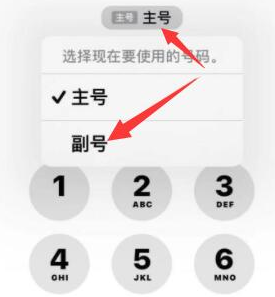 马边苹果14维修店分享iPhone 14 Pro Max使用副卡打电话的方法 