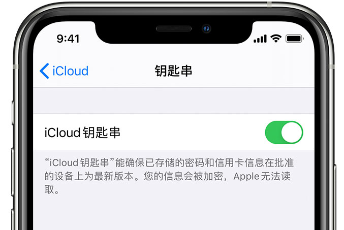 马边苹果手机维修分享在 iPhone 上开启 iCloud 钥匙串之后会储存哪些信息 